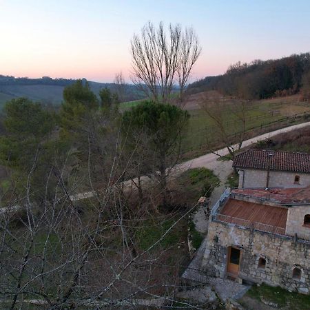 Grand Gite Les Cabanes De Fallot Pour 19 Personnes - Piscine Naturelle L'isle-Bouzon Экстерьер фото