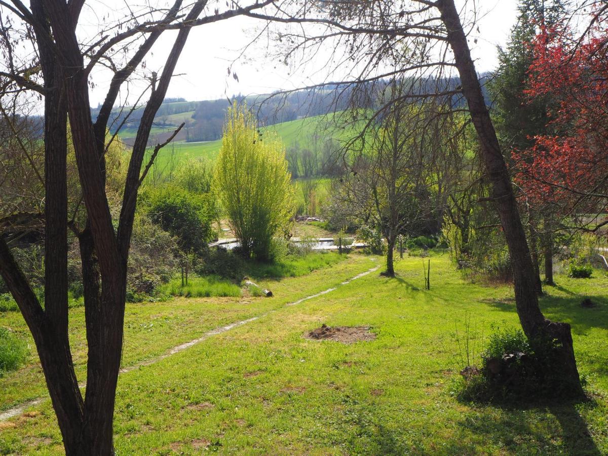 Grand Gite Les Cabanes De Fallot Pour 19 Personnes - Piscine Naturelle L'isle-Bouzon Экстерьер фото